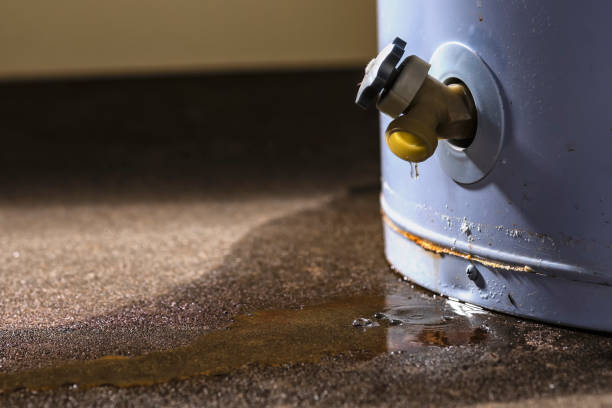Best Ceiling water damage repair  in Canon, GA