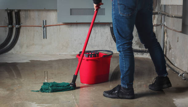 Best Water damage contractors near me  in Canon, GA