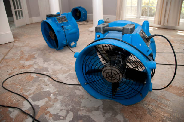 Best Water damage restoration specialists  in Canon, GA