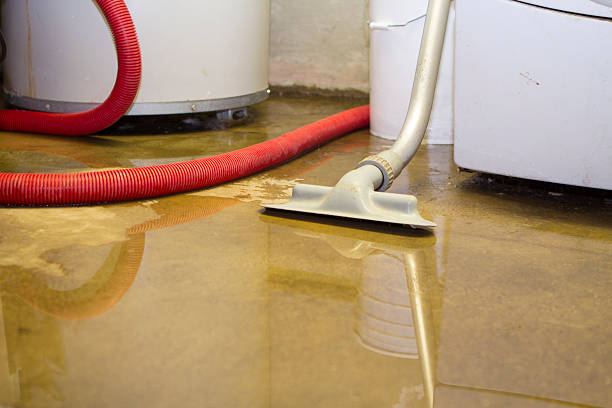 Best Local water damage restoration  in Canon, GA