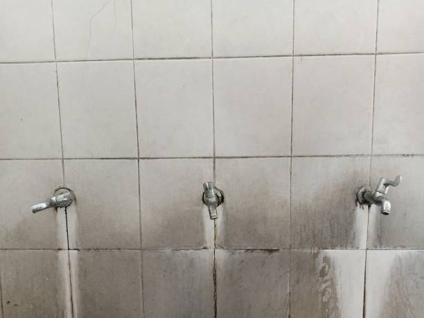 Best Water damage restoration near me  in Canon, GA