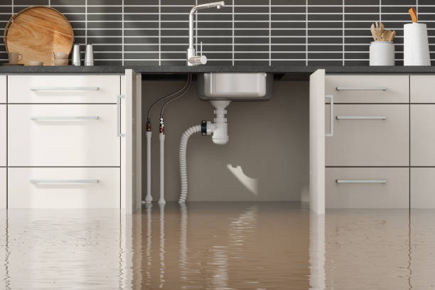 Best Flood restoration services  in Canon, GA
