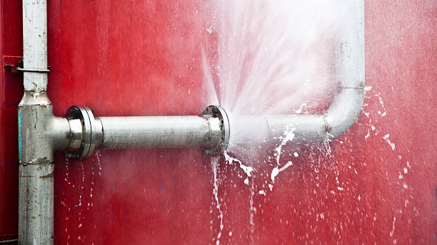 Best Water damage restoration insurance claims  in Canon, GA